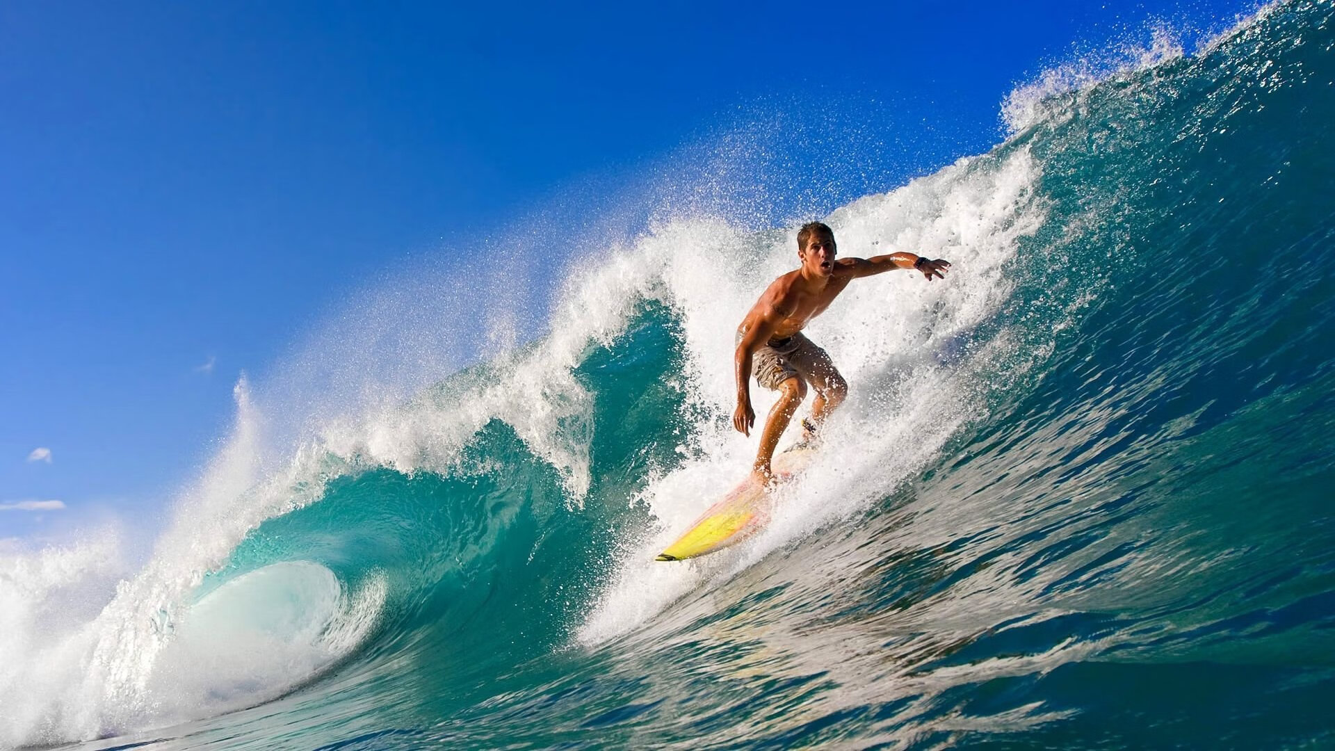 开云app-“擂台争锋，自由搏击赛事见证巅峰对决！”